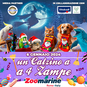 un calzino a 4 zampe a zoomarine